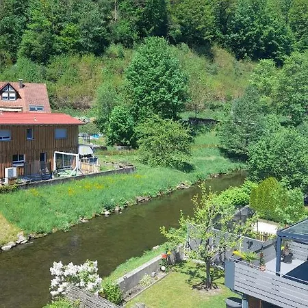 Am Enzufer Mit Balkon In Im Schwarzwald アパート バート・ヴィルトバート