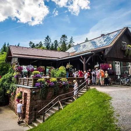 Am Enzufer Mit Balkon In Im Schwarzwald アパート バート・ヴィルトバート