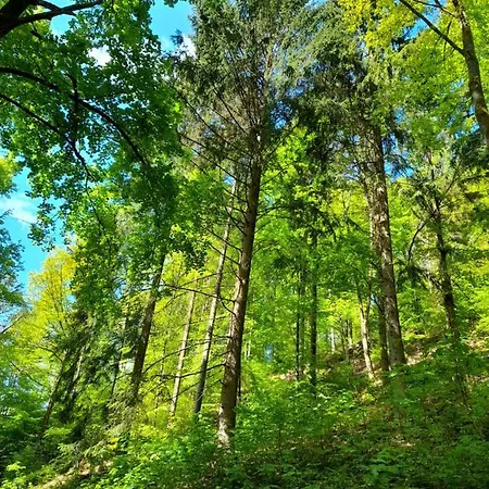 Am Enzufer Mit Balkon In Im Schwarzwald