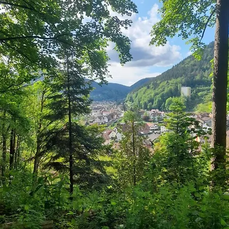 شقة Am Enzufer Mit Balkon In Im Schwarzwald