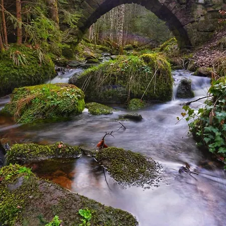 Am Enzufer Mit Balkon In Im Schwarzwald