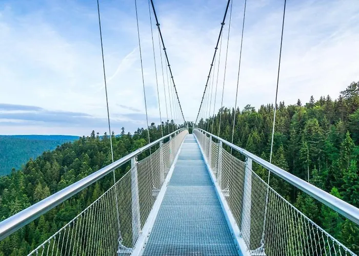 公寓 Am Enzufer Mit Balkon In Im Schwarzwald 巴特维尔德巴德