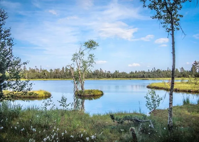 Am Enzufer Mit Balkon In Im Schwarzwald 公寓 *