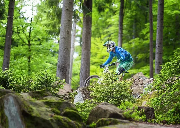 Am Enzufer Mit Balkon In Im Schwarzwald