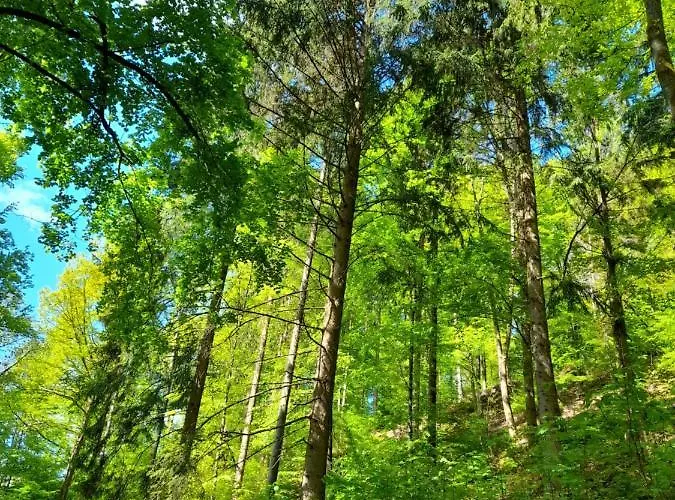 Am Enzufer Mit Balkon In Im Schwarzwald