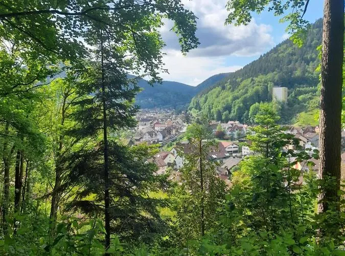 公寓 Am Enzufer Mit Balkon In Im Schwarzwald