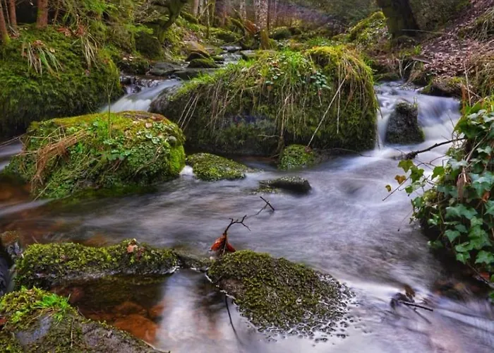 Am Enzufer Mit Balkon In Im Schwarzwald