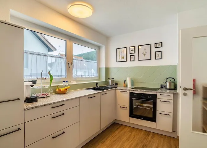 公寓 Am Enzufer Mit Balkon In Im Schwarzwald *